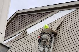 Best Fascia and Soffit Installation  in USA